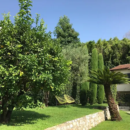 Spazio D'arte Relais Pietrasanta